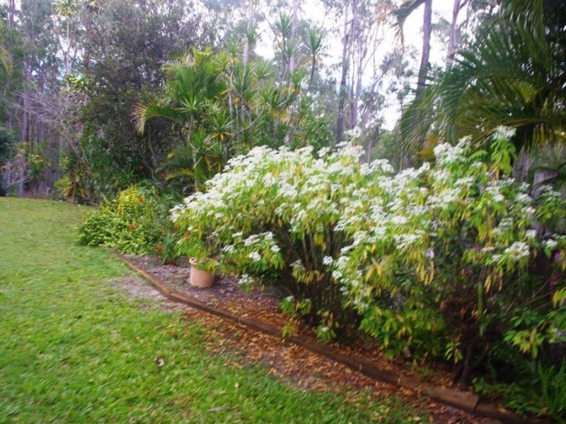 146 Rodney Road, Curra QLD 4570