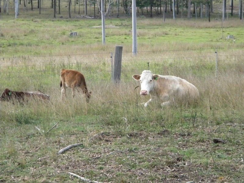 2423 Bauple Woolooga Rd, Miva QLD 4570