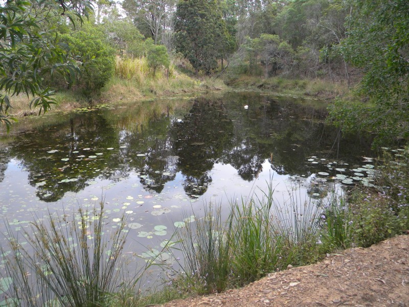 20 Boyle Rd, The Palms QLD 4570