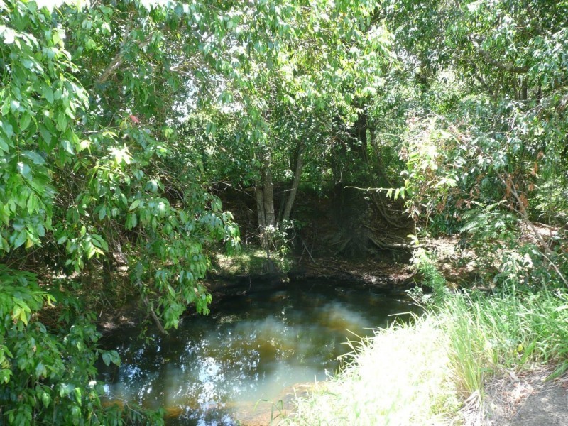 120  Diamondfield Road, Amamoor QLD 4570