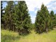 306 Diggings Road, Glastonbury QLD 4570