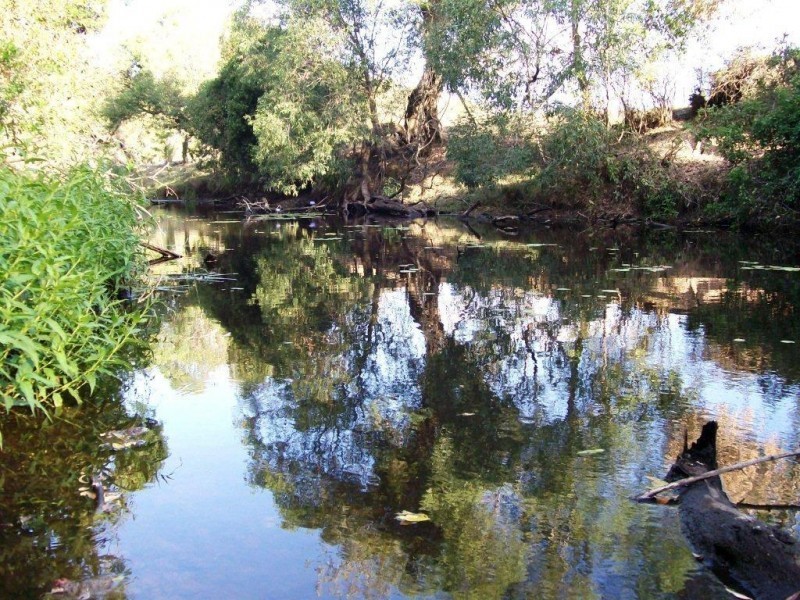 Gootchie QLD 4650