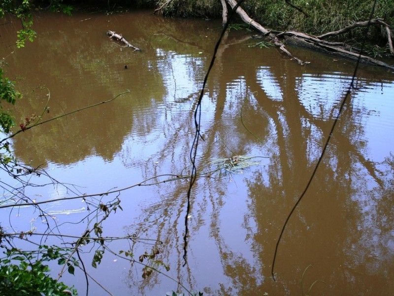 Gootchie QLD 4650