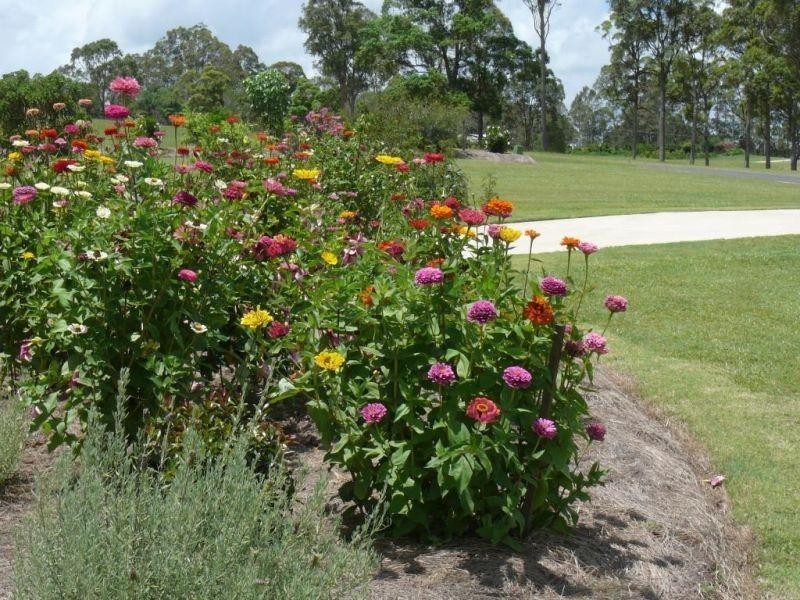 34 Lavender Drive, Araluen QLD 4570