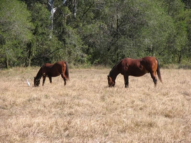 160 Hoopers Road, Curra QLD 4570