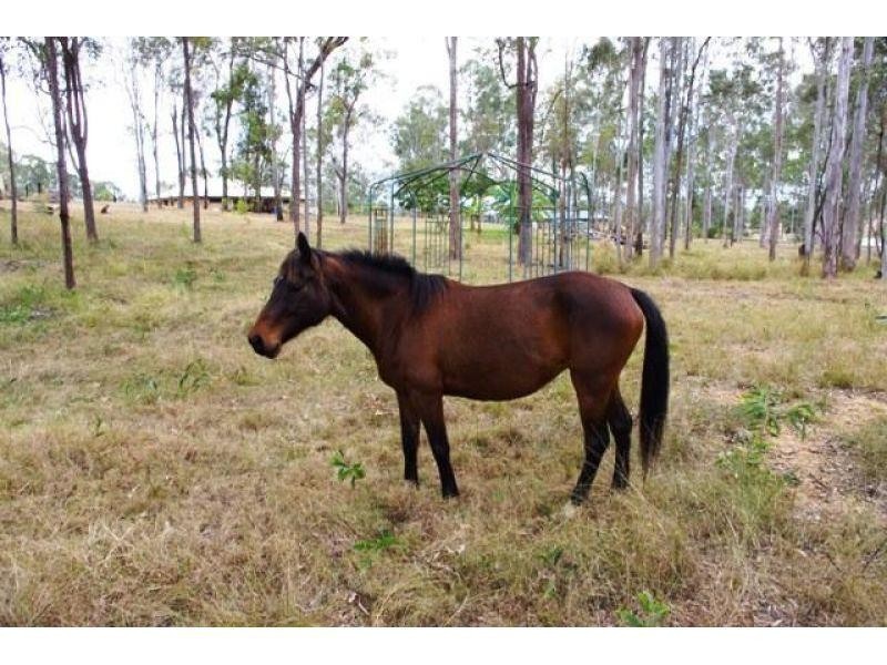 11 Scott Thomas Drive, Sexton QLD 4570