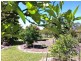 64 Nautilus Drive, Cooloola Cove QLD 4580