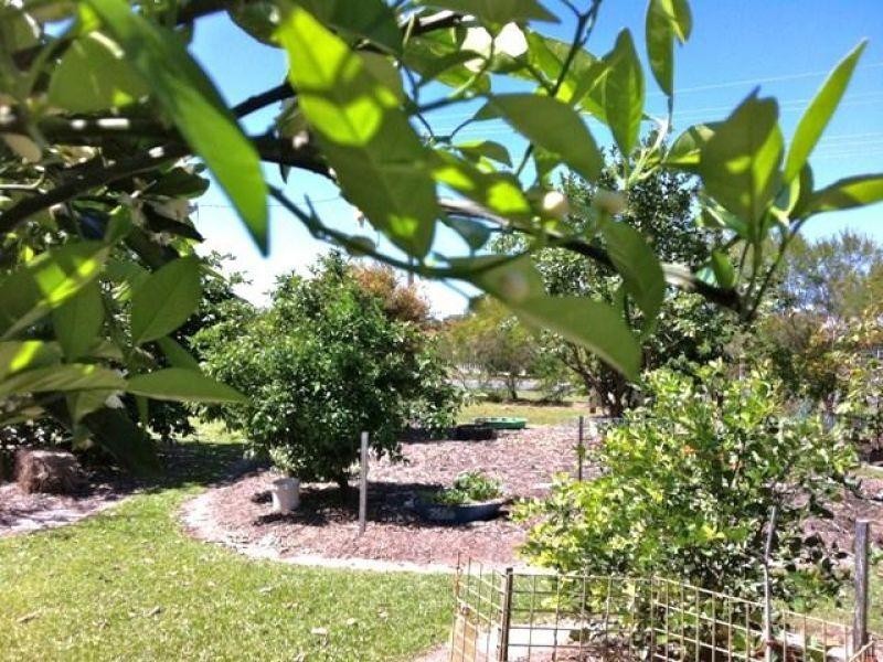64 Nautilus Drive, Cooloola Cove QLD 4580