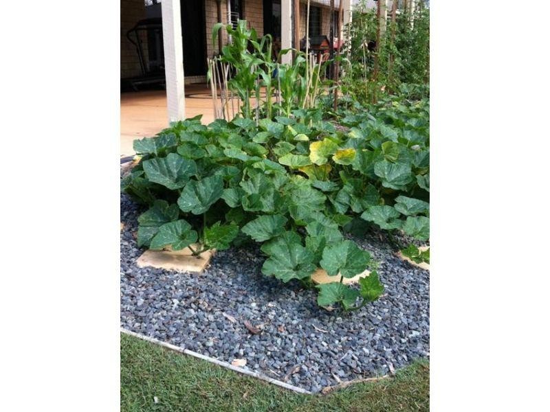 241 Kirsten Drive, Curra QLD 4570