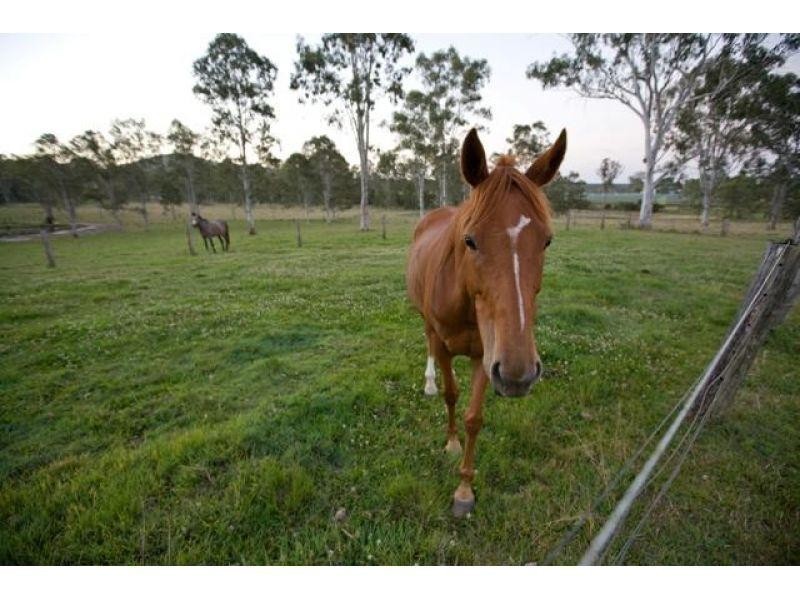 1608 Kin Kin Road, Wolvi QLD 4570
