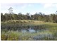 256 Nash Road, Tamaree QLD 4570