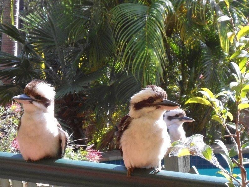 18 Eljays Road, The Palms QLD 4570