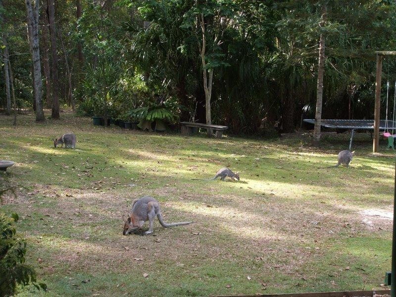 18 Eljays Road, The Palms QLD 4570