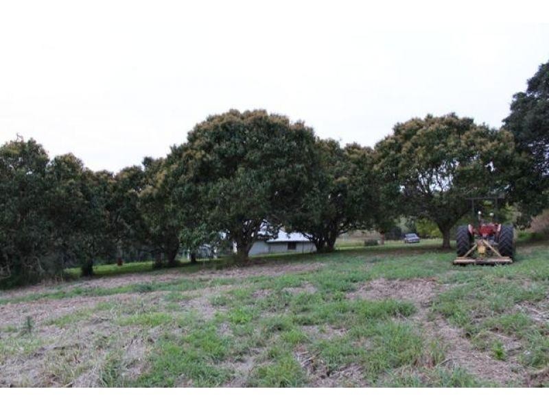 174 Wilsons Pocket Road, Wilsons Pocket QLD 4570