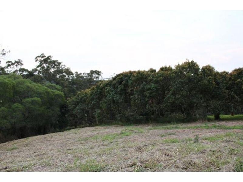 174 Wilsons Pocket Road, Wilsons Pocket QLD 4570