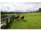 129 Ashfords Road, Curra QLD 4570