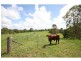 155 Mooloo Road, Mooloo QLD 4570