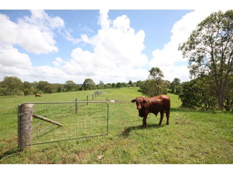 155 Mooloo Road, Mooloo QLD 4570