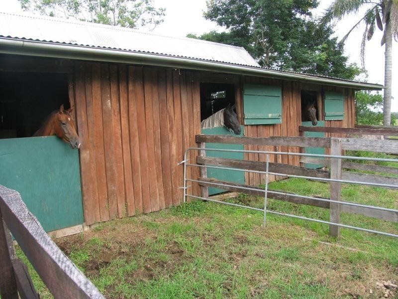 181 Kiaka Road, Lagoon Pocket QLD 4570