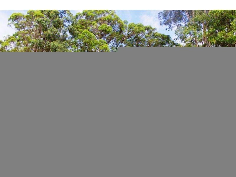 676 Wilsons Pocket Road, Wilsons Pocket QLD 4570