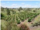 808 Eel Creek Road, Gympie QLD 4570