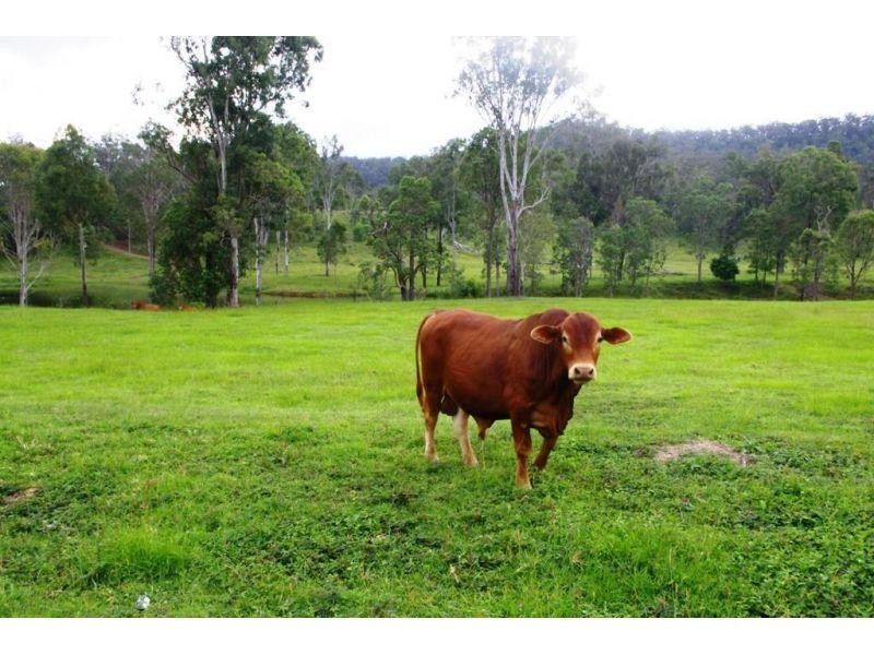 Glastonbury QLD 4570