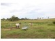 Lot 150 Mt Olive Rd, Cinnabar QLD 4600
