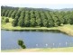 78 Hooper Road, Greens Creek QLD 4570
