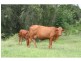 Glastonbury QLD 4570