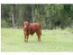 Glastonbury QLD 4570