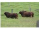 Glastonbury QLD 4570