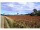 Gunalda QLD 4570