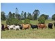 Mooloo QLD 4570