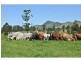 Mooloo QLD 4570