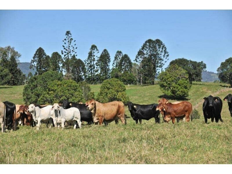 Mooloo QLD 4570
