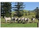 Mooloo QLD 4570
