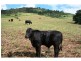Kia Ora QLD 4570
