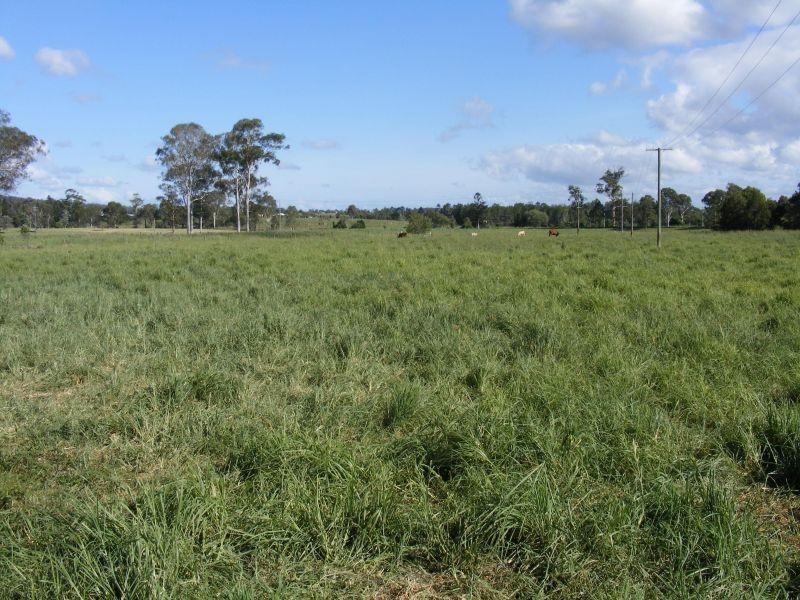 2784  Anderleigh Road, Kia Ora QLD 4570