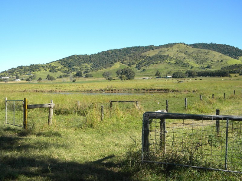 2784  Anderleigh Road, Kia Ora QLD 4570