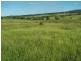 Wandoan QLD 4419