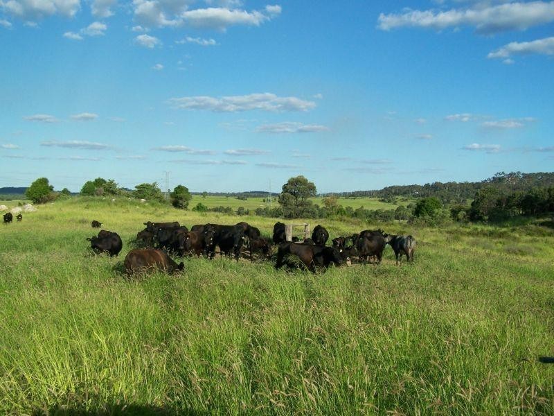 Wandoan QLD 4419