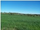 Wandoan QLD 4419