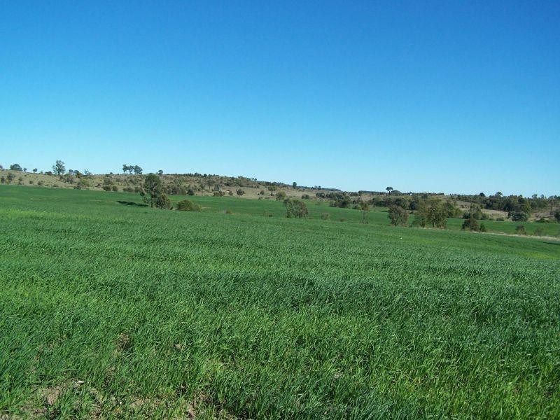 Wandoan QLD 4419