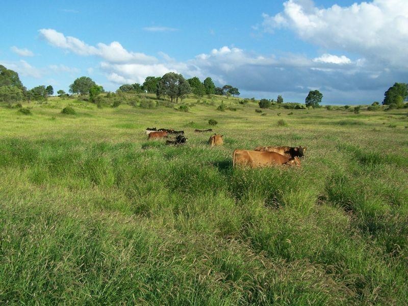 Wandoan QLD 4419