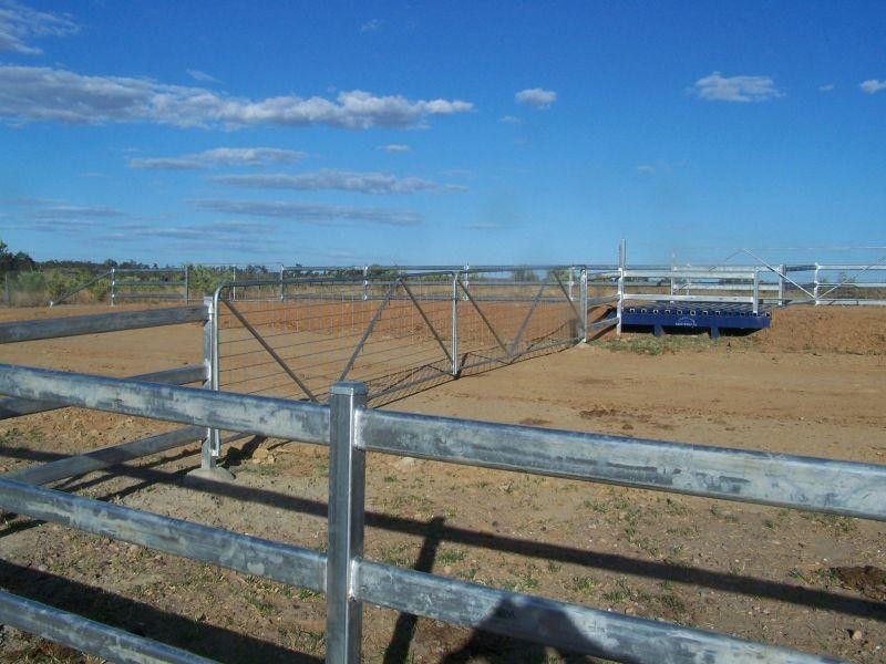 Wandoan QLD 4419