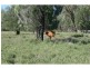 Meandarra QLD 4422