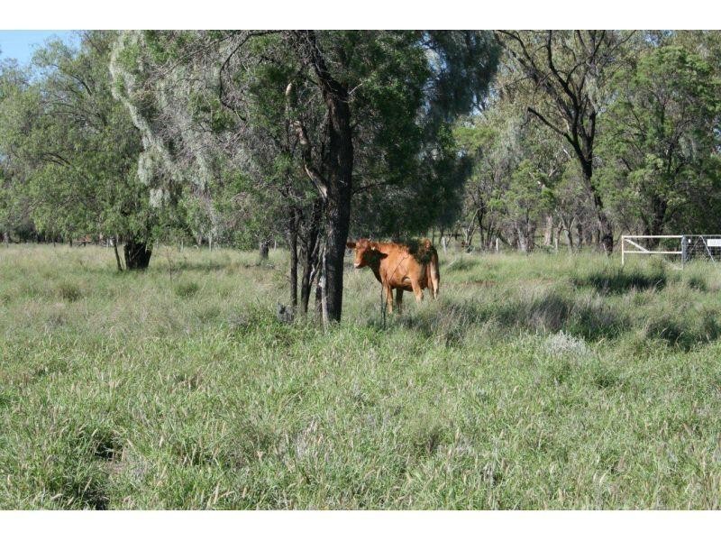 Meandarra QLD 4422
