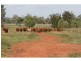 Meandarra QLD 4422