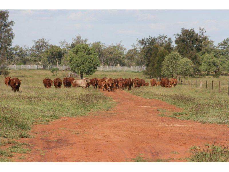 Meandarra QLD 4422