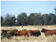 Meandarra QLD 4422